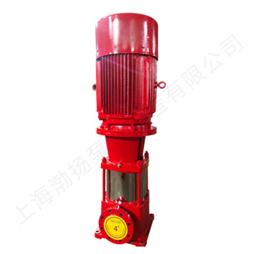 XBD6.9/45-125L立式多级消防泵